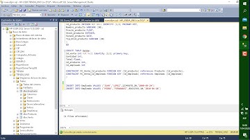 Tema 11: Insert Into o Insertar Datos en SQL Server