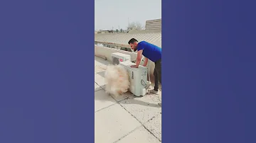 تنظيف السبلت من الغبار 