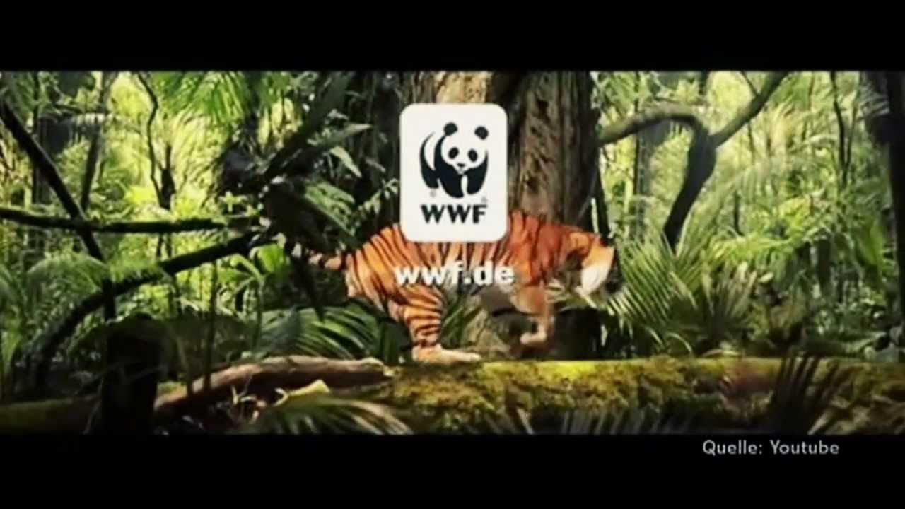 ratgeber ntv Wilfried Huismann: Schwarzbuch WWF. Dunkle Geschäfte im Zeichen des Panda.