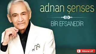 Adnan Şenes Neden Saclarin Beyazlamis Arkadaş