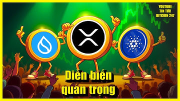 Cá voi Bitcoin tích lũy bùng nổ, diễn biến quan trọng của XRP, SUI và ADA