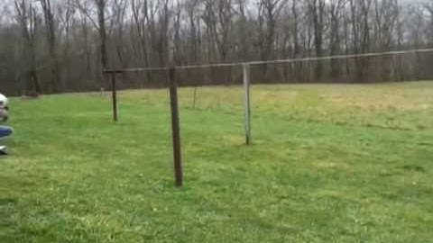 ShockWave Exploding Target 1lb