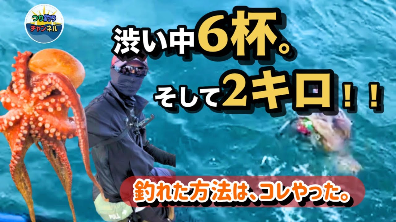 この子も災い軽減に効いてる！日月　釣　宝瓶　天珠たん！なんじゃこらりゃー この子も災い軽減に効いてる！日月 釣 宝瓶 天珠たん！なんじゃ