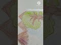 Nature Drawing II Crayons Se Simple Easy Nature Drawing II Dileshwari Craft Corner