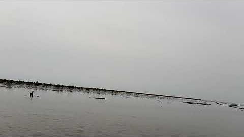 Bãi Bồi Mũi Cà Mau | Du Lịch Đất Mũi || Thắng 89 0909 22 56 33