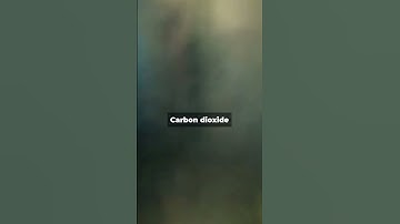 The Toxic Cave That’s Been Sealed for 5 Million Years