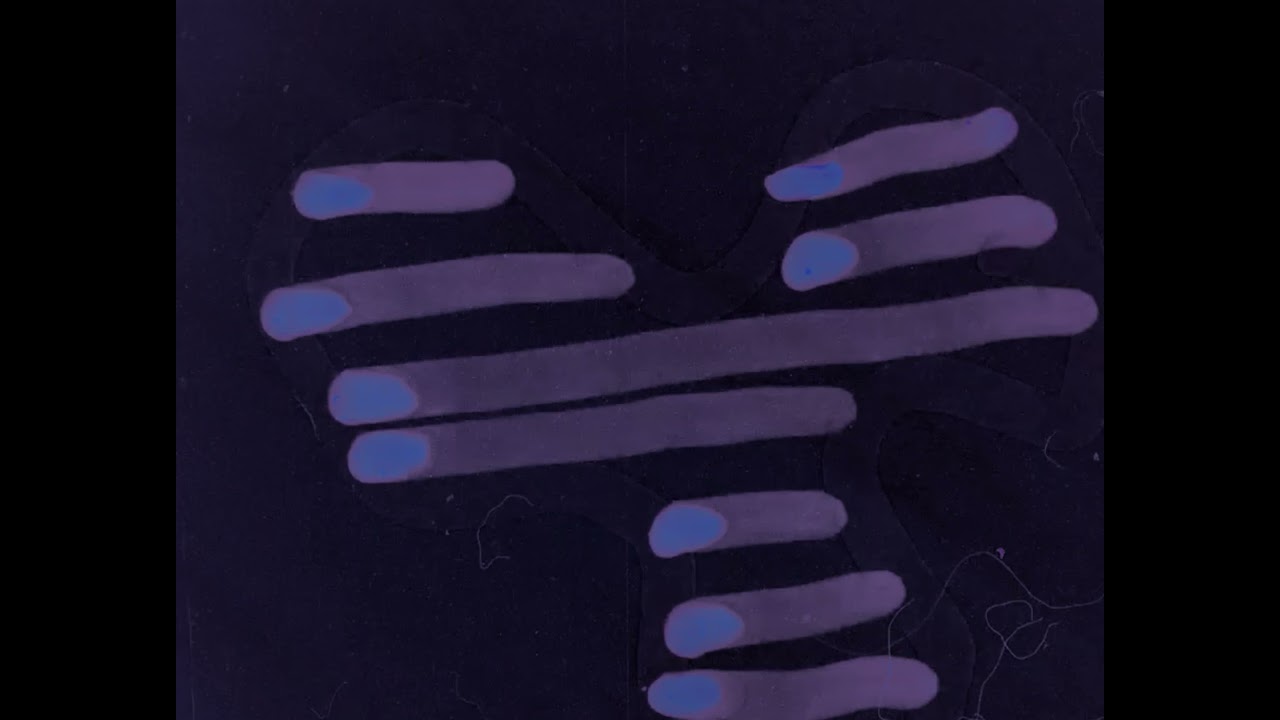 Thomas Jack Brown - On8mil.space Cameraless Film Competition