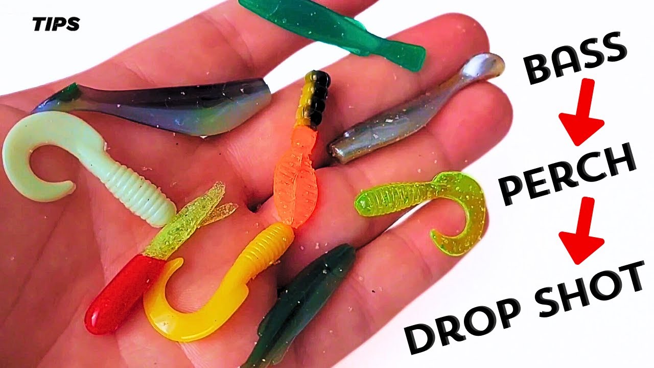 How to tie a Drop Shot Rig: The easiest way to Catch Bass or Perch using  Soft Plastic Lures 