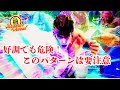 【スマスロ北斗の拳】#実践#設定判別#高設定狙い#ヤメ時#無想転生