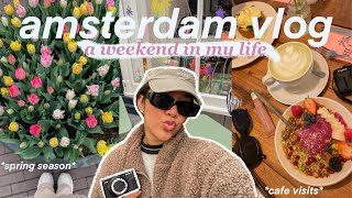 amsterdam vlog: a weekend in my life | trying new cafes, meeting friends, spring season in amsterdam