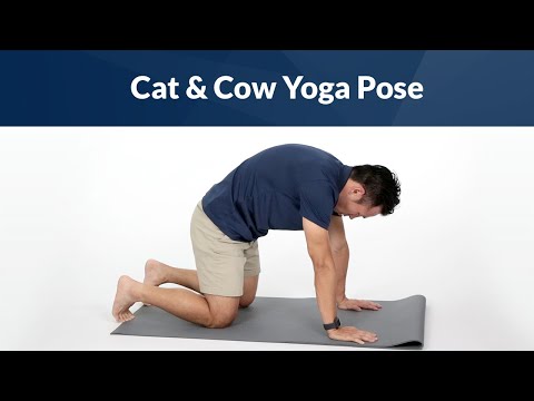 Cat & Cow Yoga Pose for Back Pain