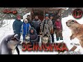 Землянка |3 сезон  8 серия| Строительство бани | Заготавливаем брёвна |+18