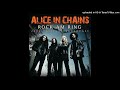 Alice In Chains - Junkhead (Live)