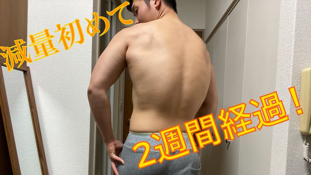 減量経過 3 ２週間で４キロ痩せました Youtube