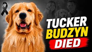 Play video: Tucker Budzyn Died | Famous Dog Tucker Budzyn Death News & Latest Update