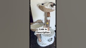Modern Cat Tree | Cat Towers DIY | Cat Tree House | Cute Cats Videos