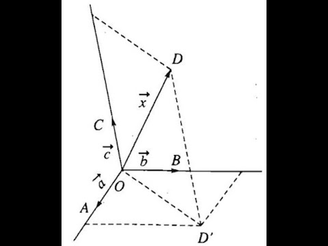 Video: Cách Xây Dựng Một Vectơ