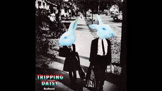 Watch Tripping Daisy Bedhead video