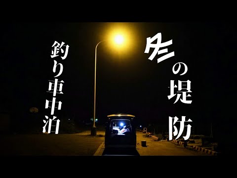 【釣り車中泊】1泊２日、冬の堤防釣り。