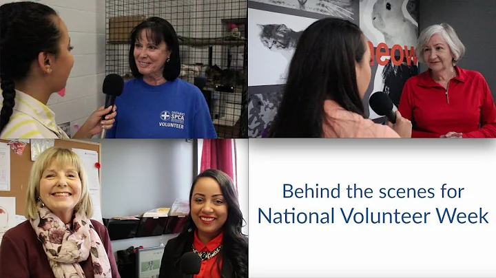 Volunteers across the province: A behind the scene...