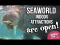 Indoor Attractions ARE OPEN at SeaWorld San Diego 2021 | March Vlog