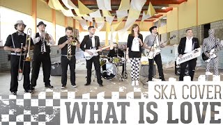 skameleon - What is love (Haddaway SKA-Cover)