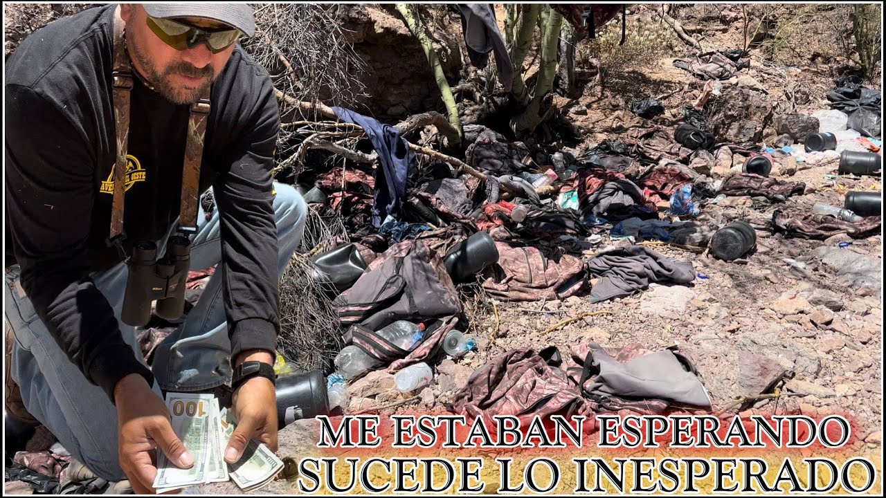 Original Title & Thumbnail