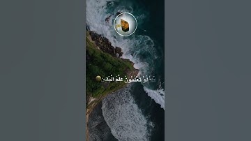 اكتب ما تؤجر عليه 🌹 القارئ الشيخ ماهر المعيقلي أرح سمعك