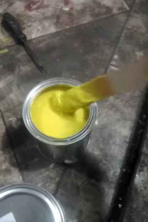 Cat gelby yellow