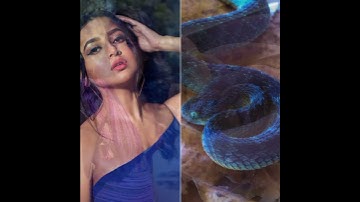 All nagin actress Vs snake 🐍🐍🐍🐍#nagingingin #nagin #shorts
