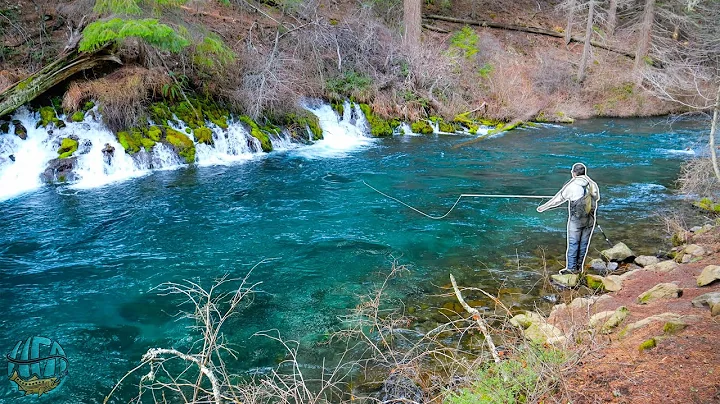 Fly Fishing for some of the coolest fish on the planet! (Bull Trout Pt. 1)