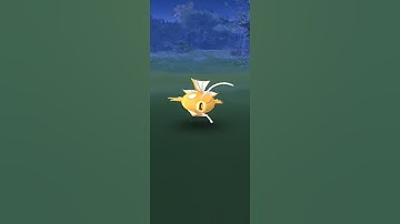 Daily Shiny Magikarp! Pokémon Go!