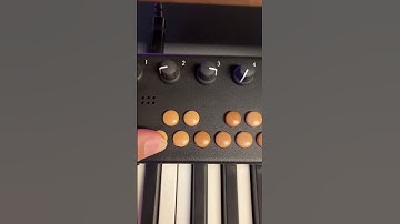 Organelle S - Granular Stutter