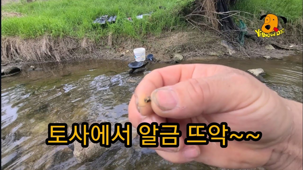 토사에서도 사금은 나옵니다.