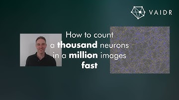 How to count a thousand neurons in a million images fast