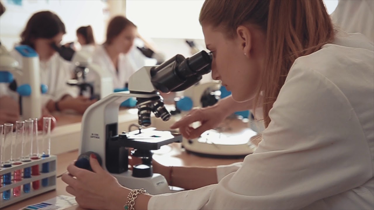 liceo leonardo brescia - presentazione 2017