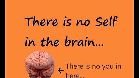 There is no Self in the brain....