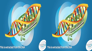 SmartSpot Quality - Our mission and impact (VR)
