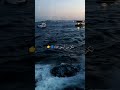 اهرب منك واتمناك اهرب منك واتمناك