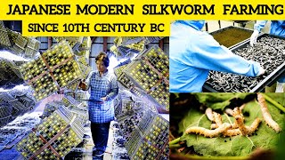 How Japanese Farming Million of SilkWorm for silk - Silk cocoon harvest and process in Factory