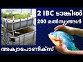 Ibc  200        aquaponics fish farming in malayalam 2020