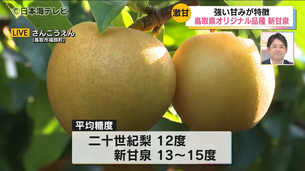 【中継】新甘泉が食べ放題「さんこうえん」｜ 鳥取市福部町