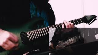 Observation Slave | Soilwork Guitar Cover [Instrumental]