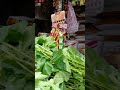 মেয়েকে নিয়ে বাসায় ফেরার পথে