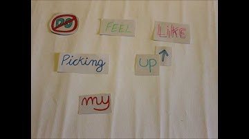 The Lazy Song - Stop Motion