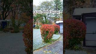 Is It Anything And Everything You Hoped For?