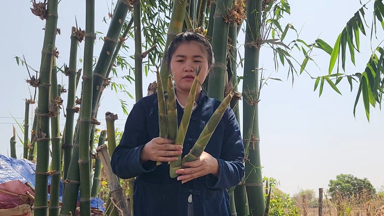 เก็บหน่อไม้แกงเองวันนี้​เด็กๆได้กินแตง