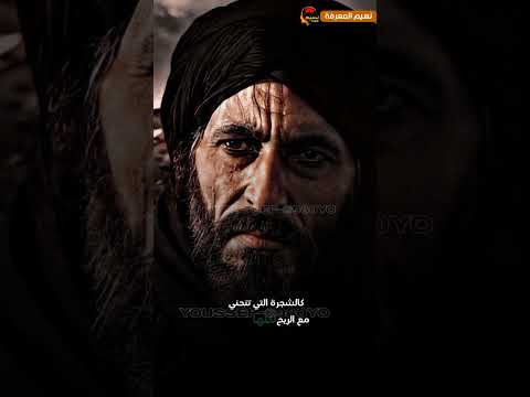 لغز الصمود في ظل التحديات تعلم طريقة التكيف في رحلة الحياة