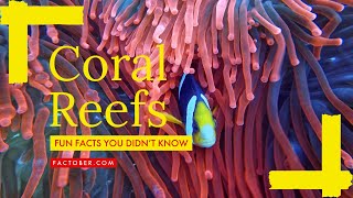 Coral Reefs Fun Facts You Should Know About  (#interestingfacts #coral #coralreef #funfacts #facts) screenshot 2