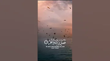 سورة الكوثر بصوت حسام الدين عبادي قرآن 